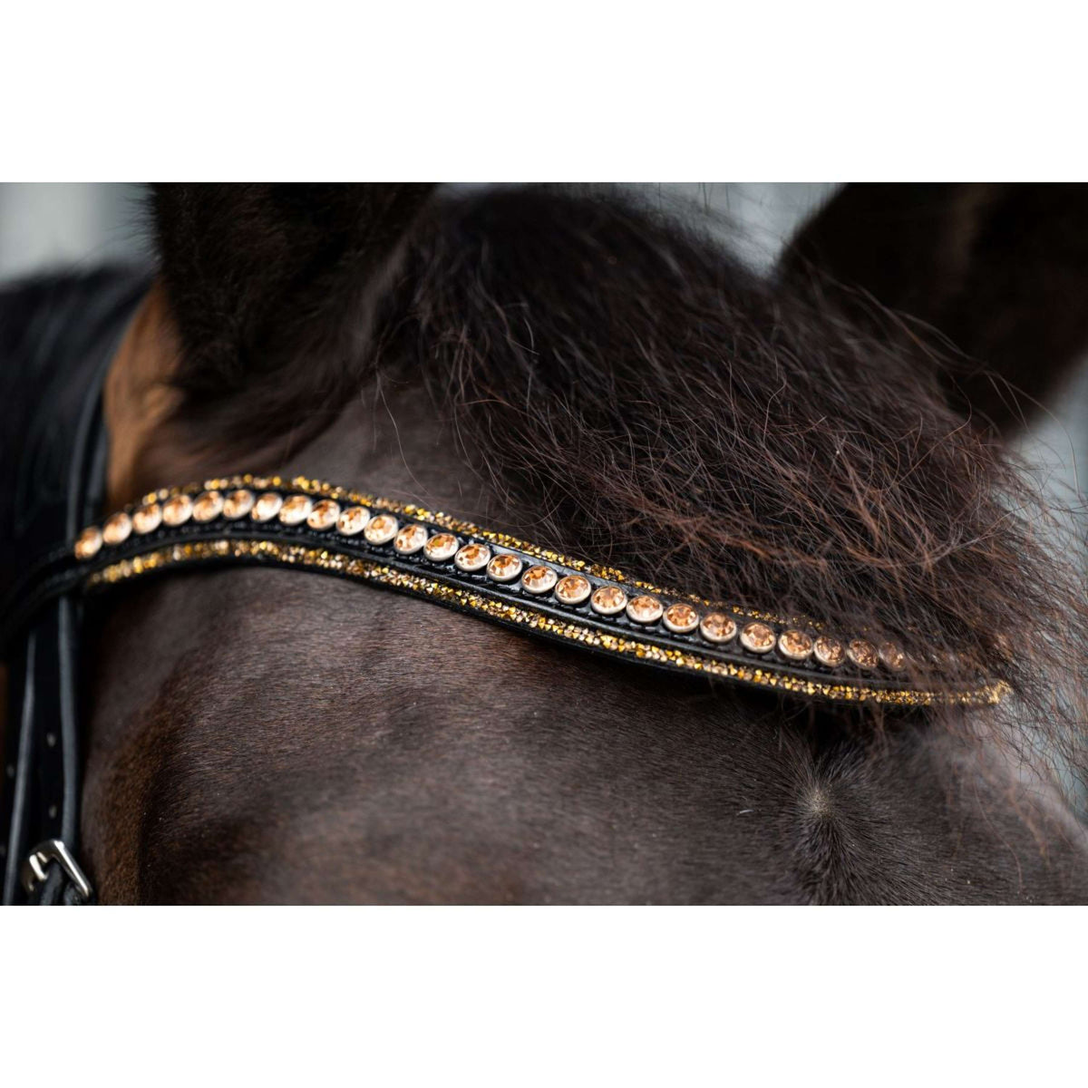 HB Ruitersport Briglia Golden Dreams Glitter nero/oro