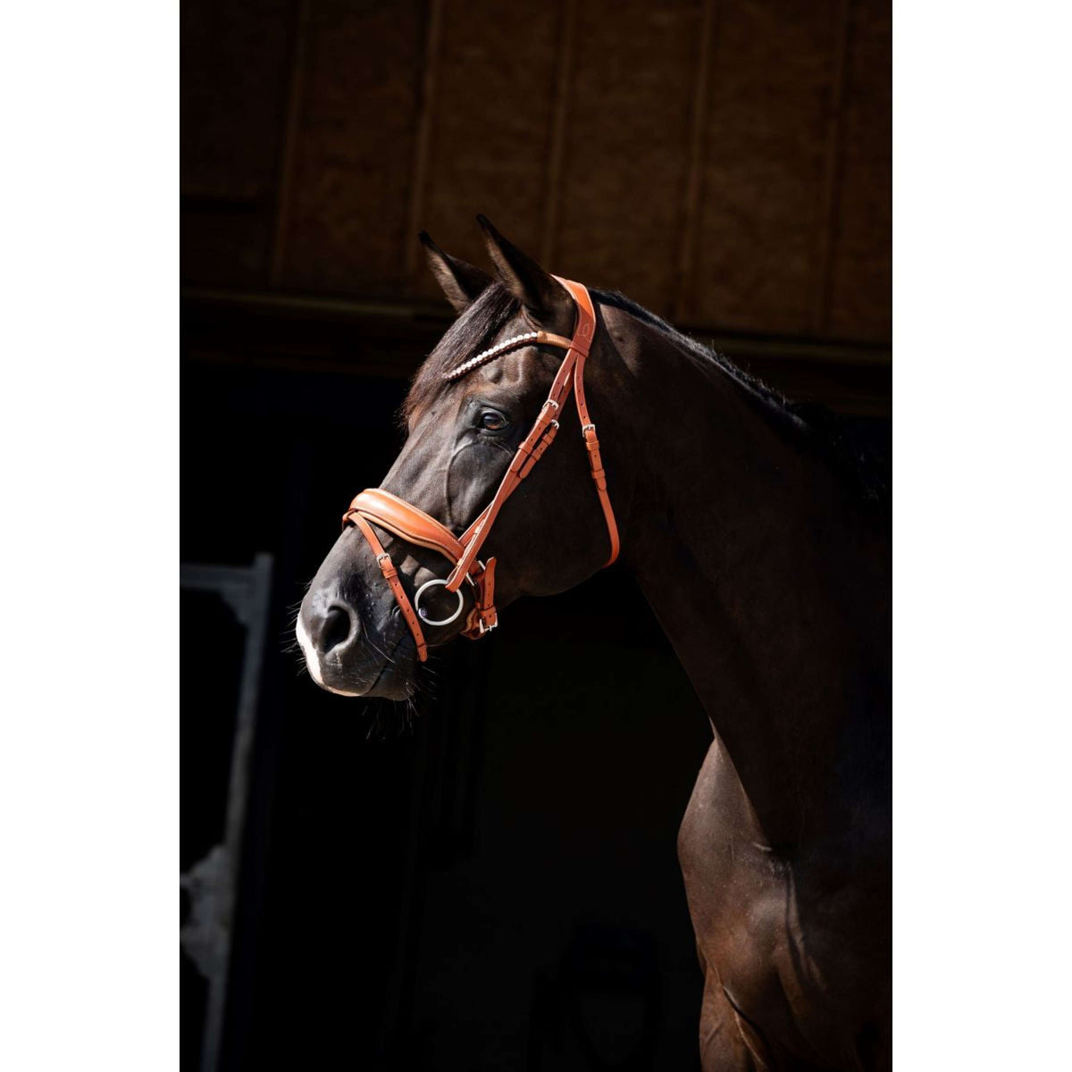 HB Briglia Chesnuth Cognac