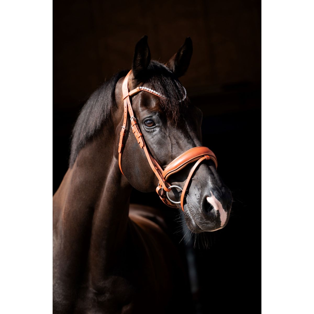 HB Briglia Chesnuth Cognac