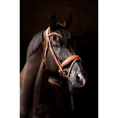 HB Briglia Chesnuth Cognac