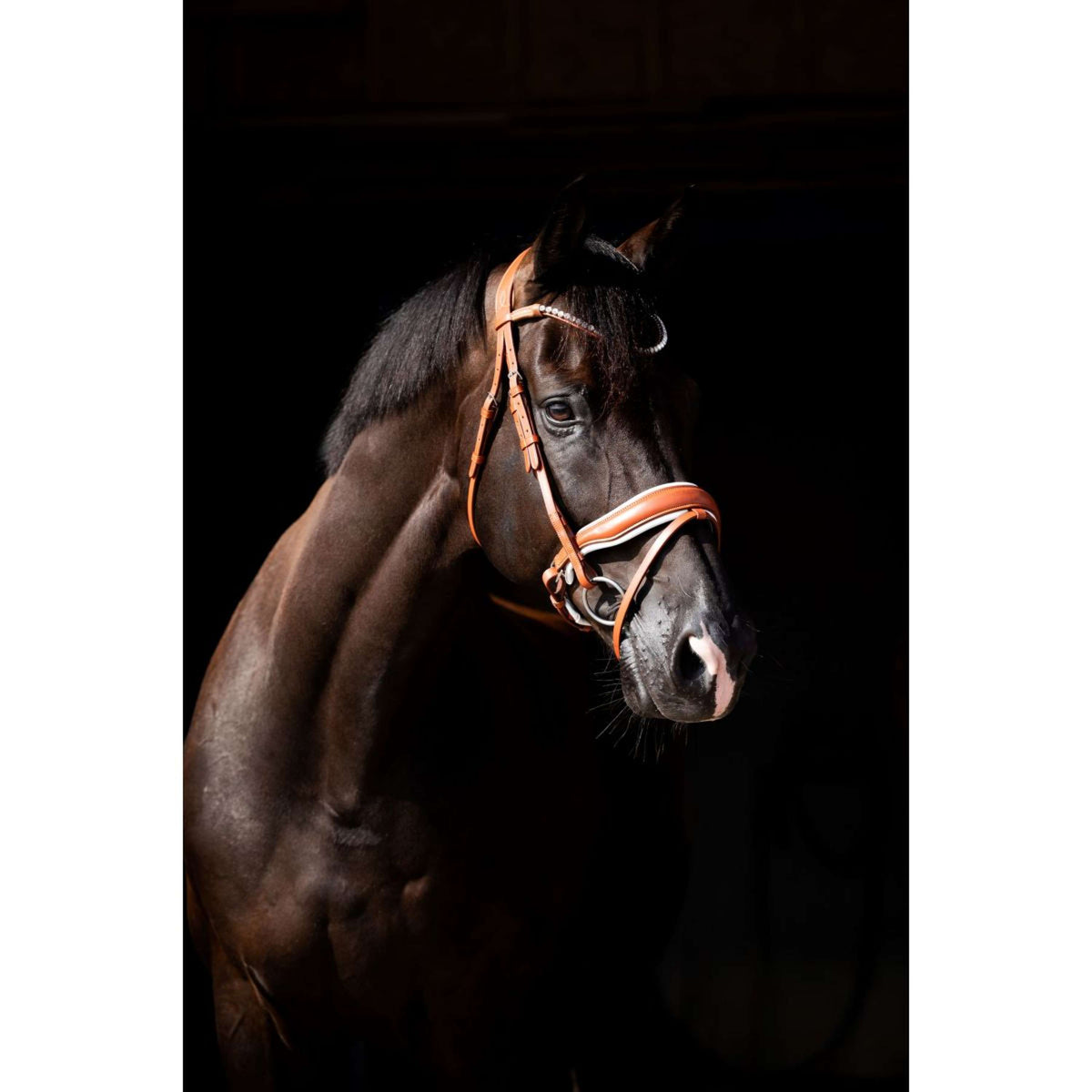 HB Briglia Chesnuth Cognac/Bianco