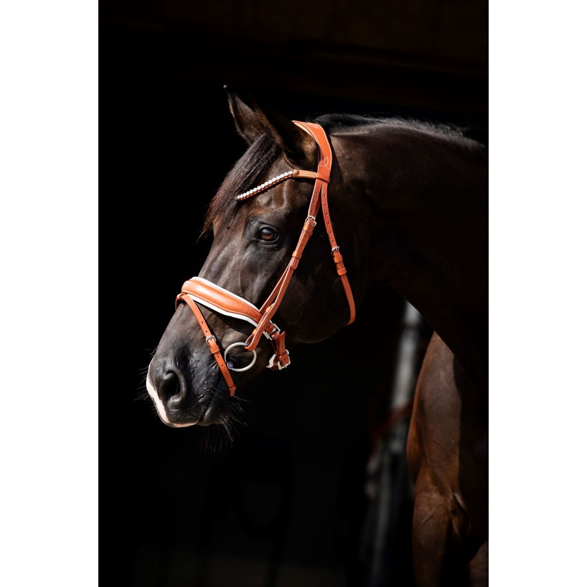 HB Briglia Chesnuth Cognac/Bianco