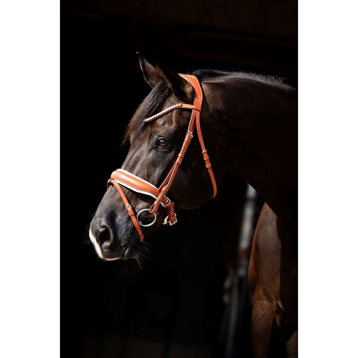 HB Briglia Chesnuth Cognac/Bianco