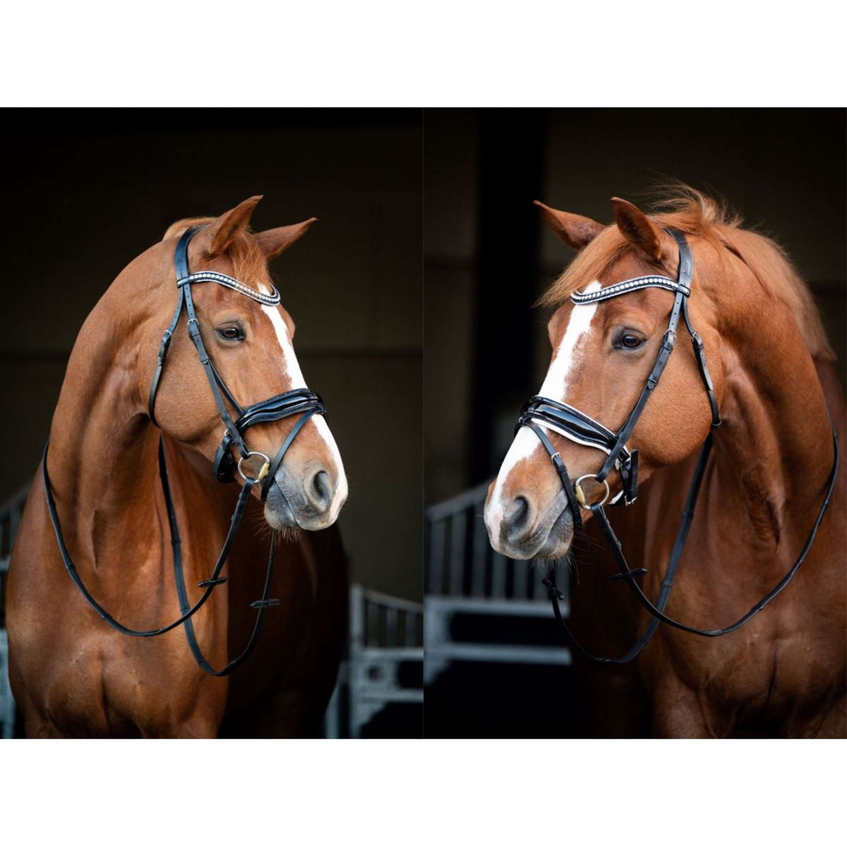 HB Briglia Snowflake Nero