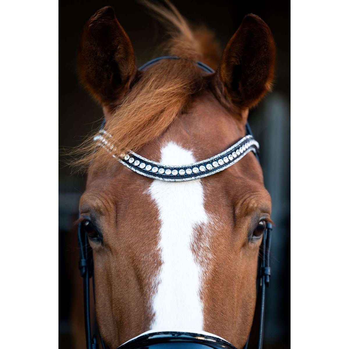 HB Briglia Snowflake Nero/Bianco