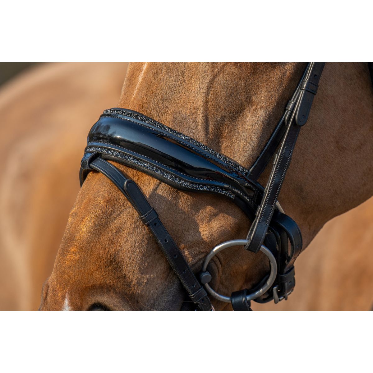 HB Noseband anatomico Rocky Glitter/Nero