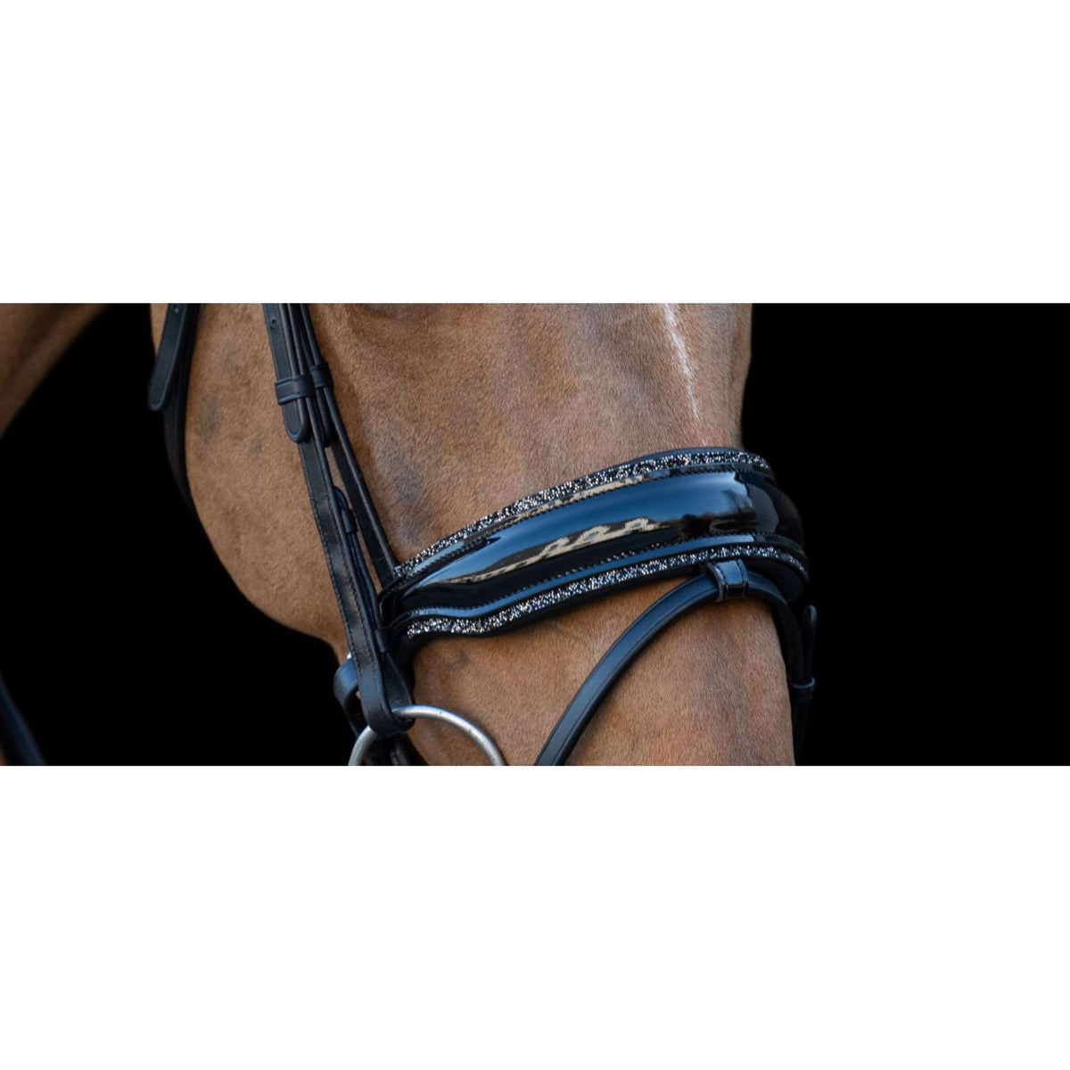 HB Noseband anatomico Rocky Glitter/Nero