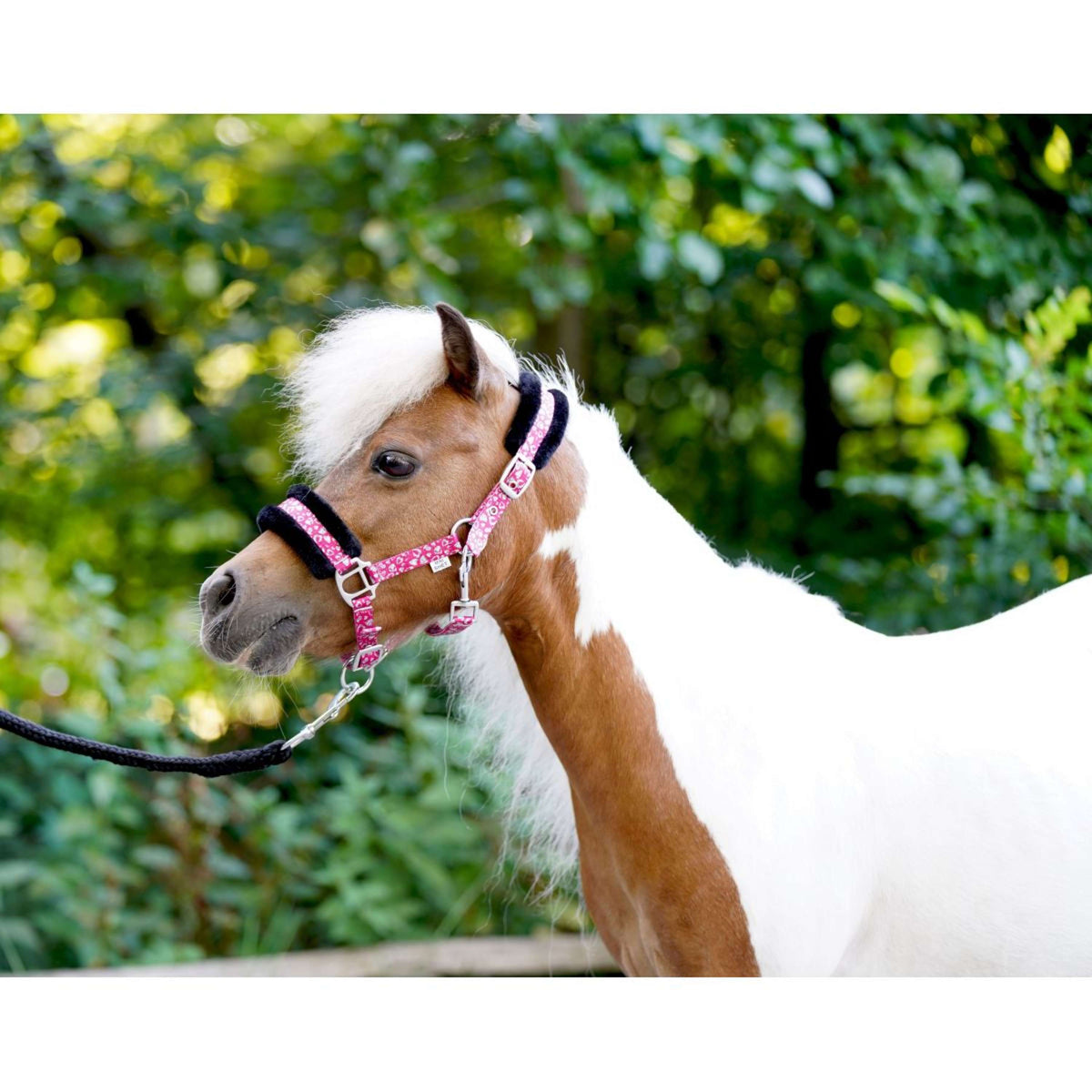 HB Capezzina Sunny Flower Fuchsia