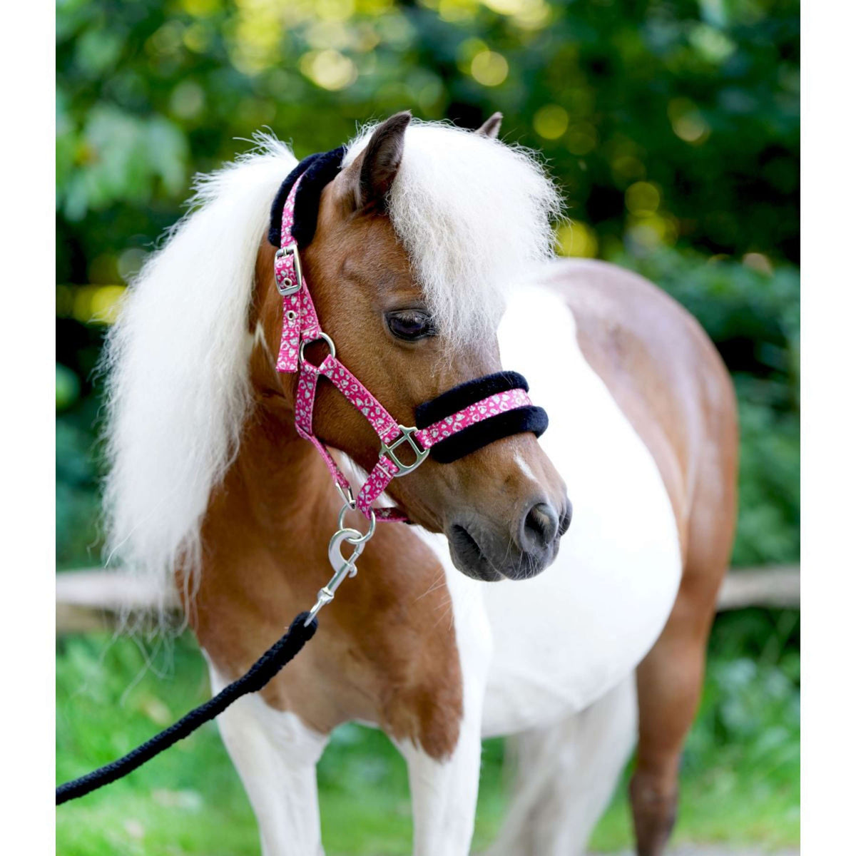 HB Capezzina Sunny Flower Fuchsia