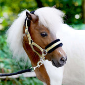 HB Capezzina Sunny Flower Giallo