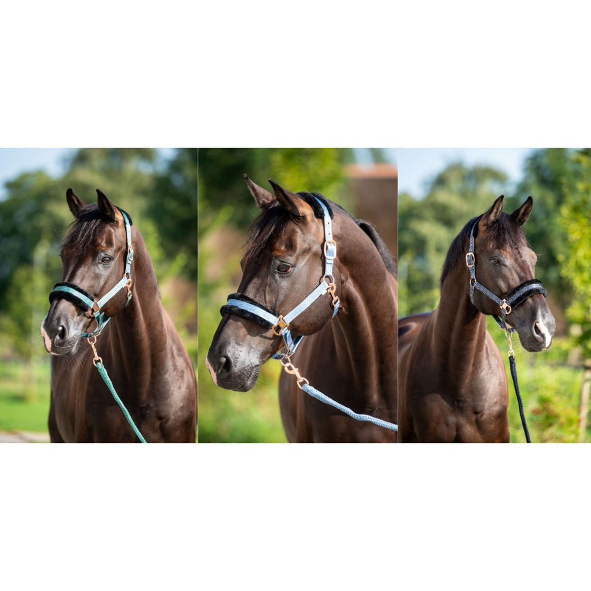 HB Capezzina Showtime Pioneer Nero