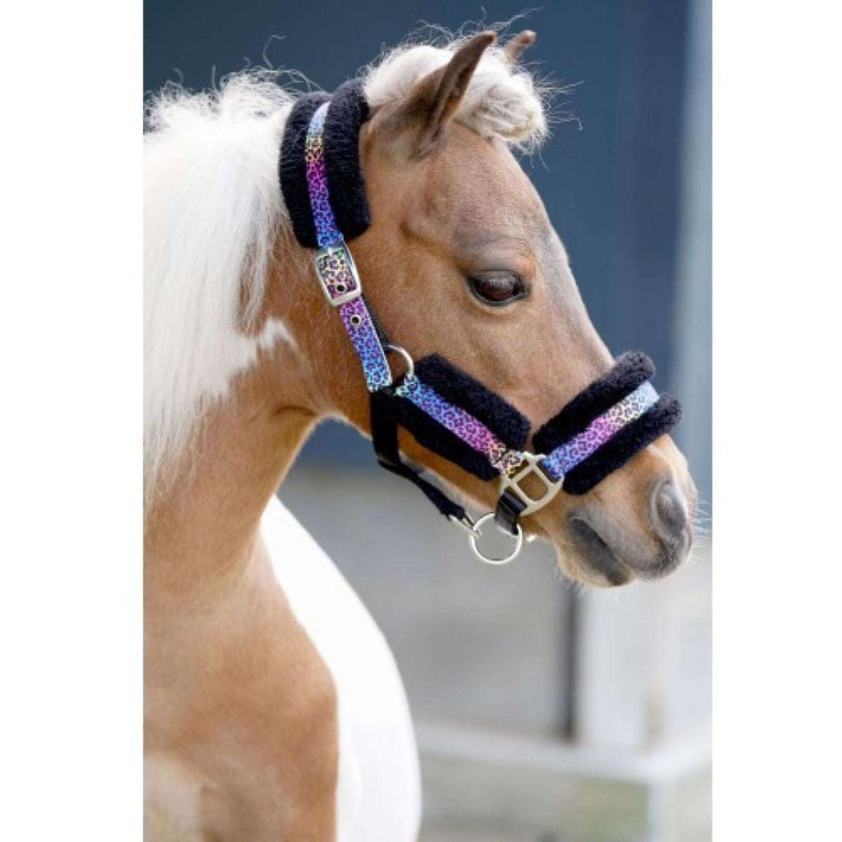 HB Capezzina Funny Little Sizes Nero/Arcobaleno