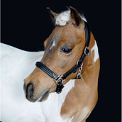 HB Capezzina Showtime Little Sizes Nero