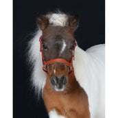 HB Capezzina Showtime Little Sizes Cognac/Cognac