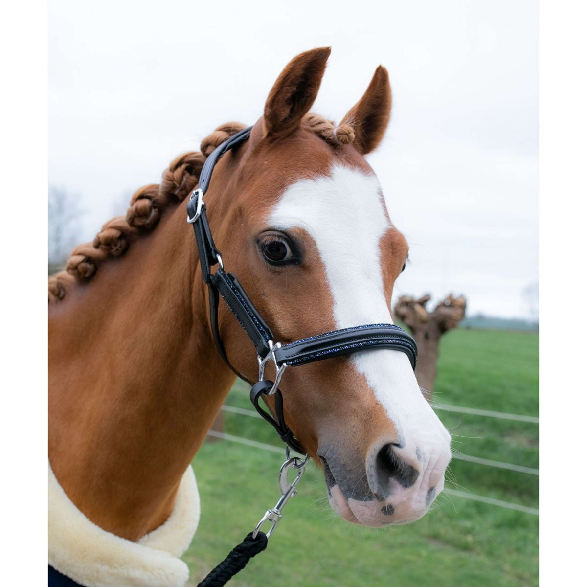 HB Capezzina Showtime Glitty Little Sizes Glitter nero/blu scuro