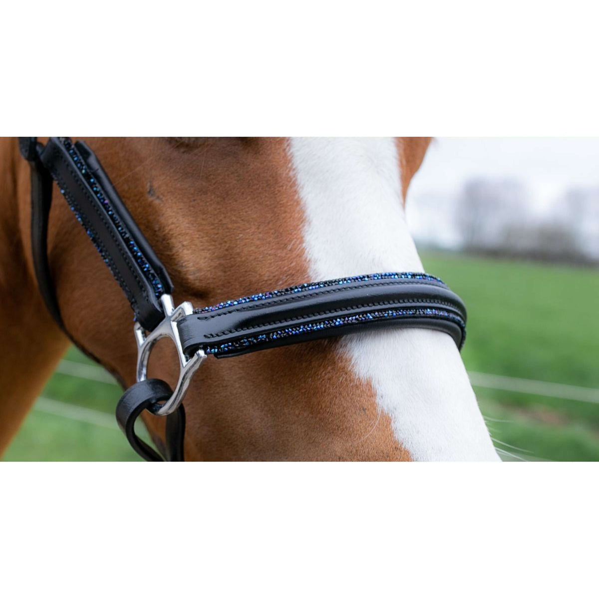 HB Capezzina Showtime Glitty Little Sizes Glitter nero/blu scuro