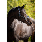 HB Ruitersport Cavezza Showtime Grand Slam Nero/Aqua Blue