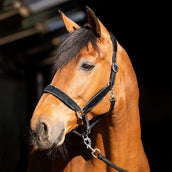 HB Capezzina Wisconsin Nero Argento