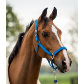 HB Set Cavezza Tropical Velvet Turkish Blue