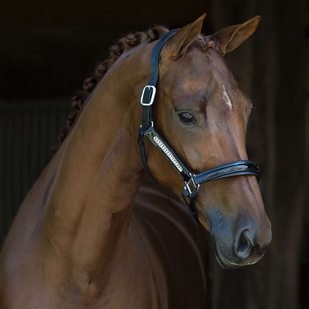 HB Capezzina Lorenzo Nero