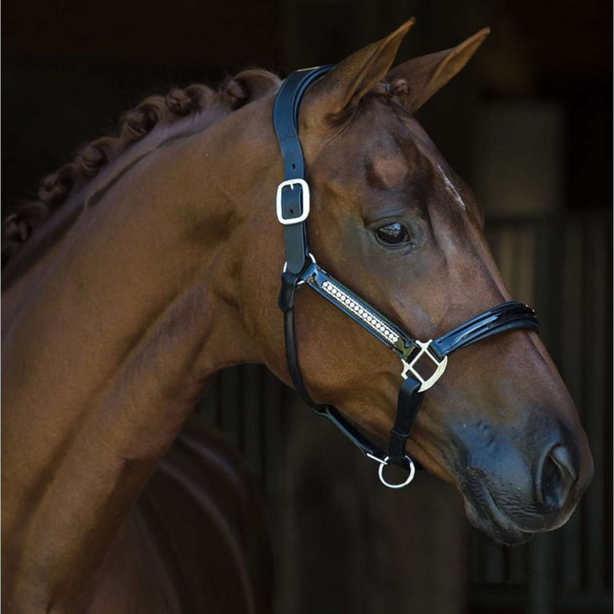 HB Capezzina Lorenzo Nero