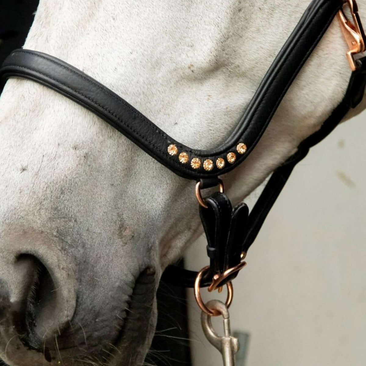 HB Capezzina Anatomic Marrone