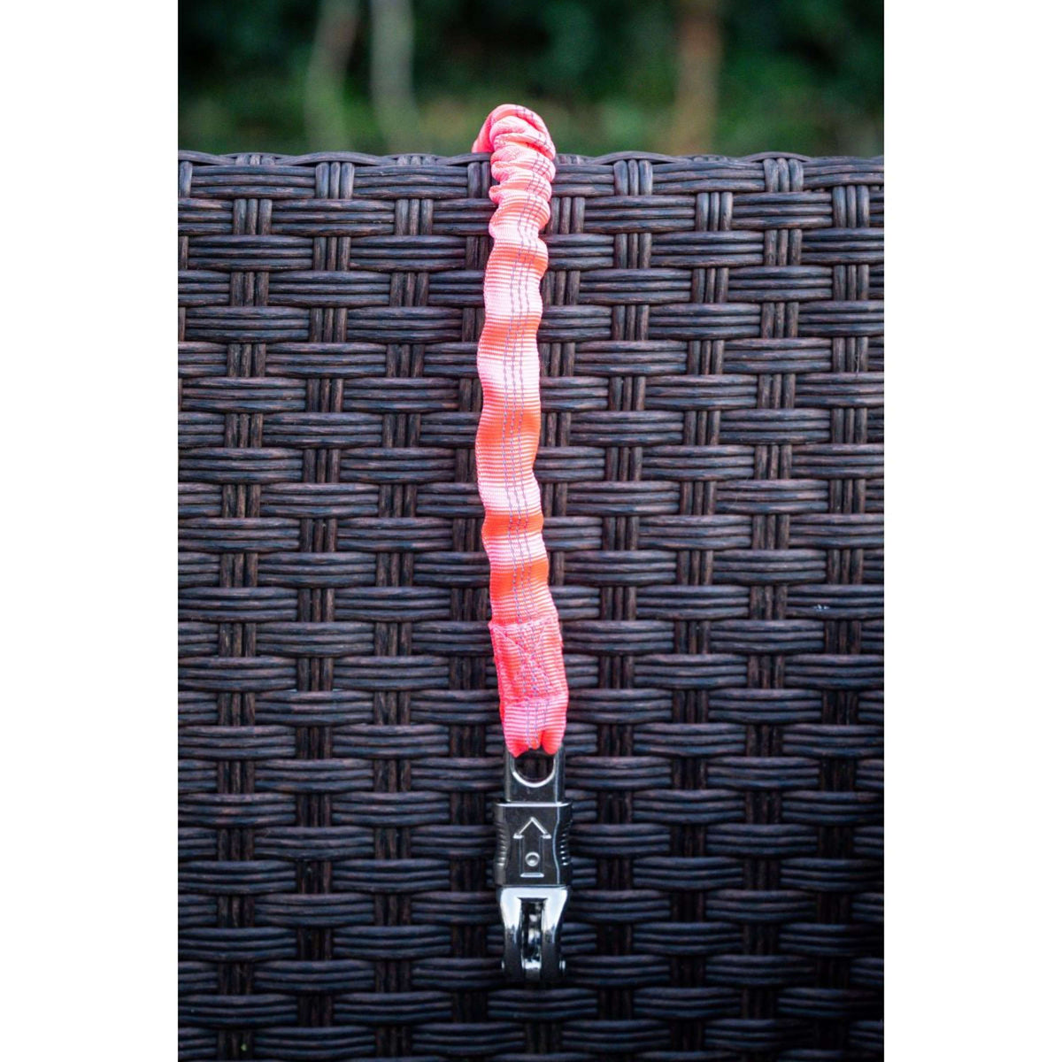 HB Corda di fissaggio Trailer/Stable Elastic Rosa