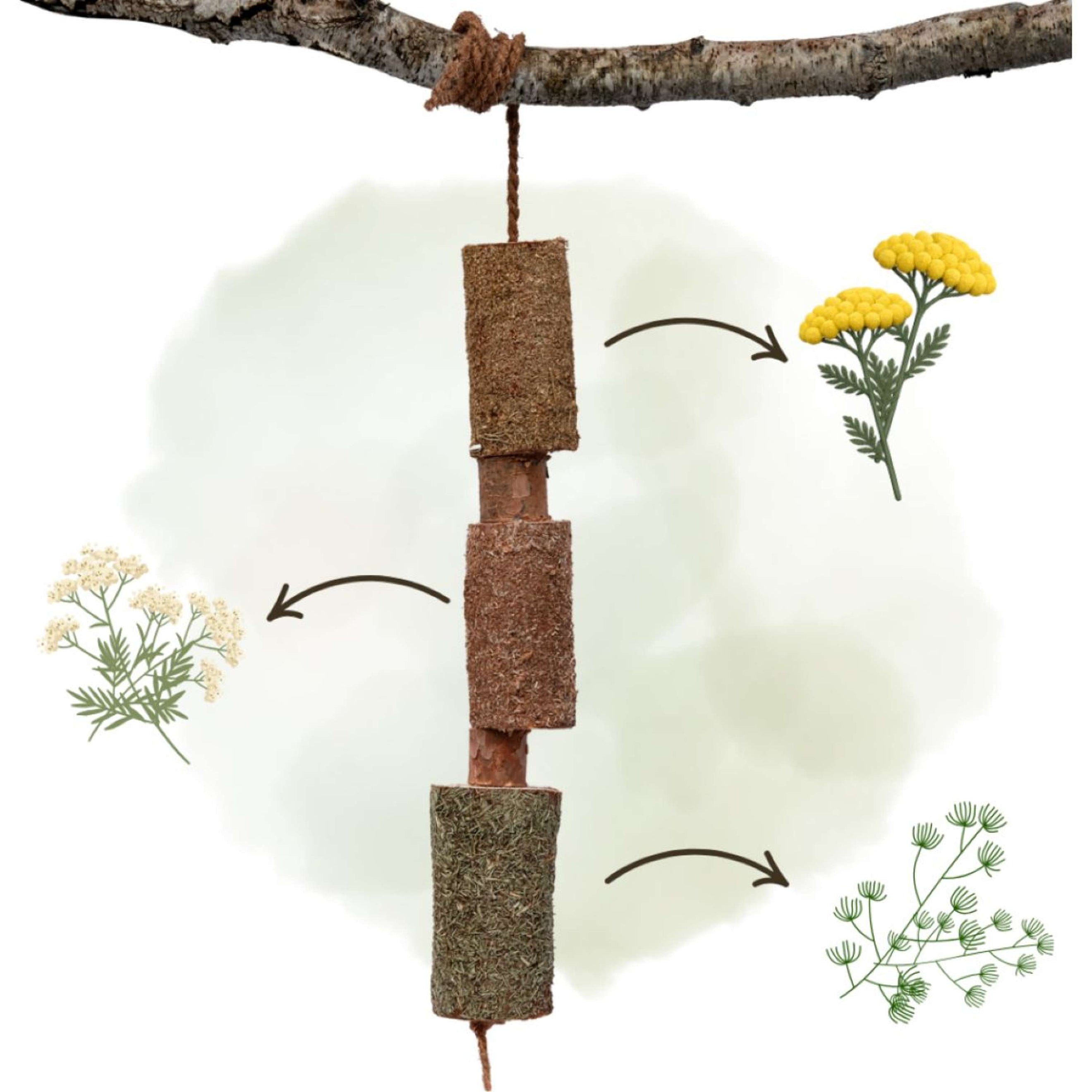 Herbie Giocattolo in legno a base di erbe Calm Herbie Giocattolo in legno a base di erbe Calm