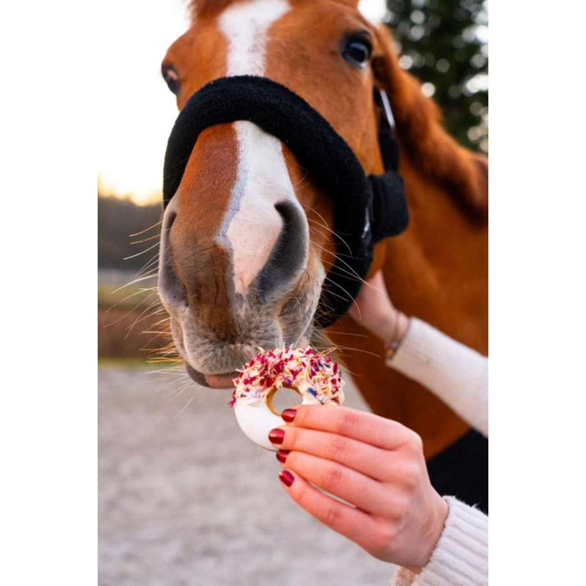 Candy Horse Love Ciambelle Heather & Cornflower