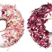 Candy Horse Ciambella Pink Cornflower