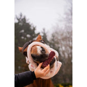 Candy Horse Love Biscotti Hibiscus Eclair