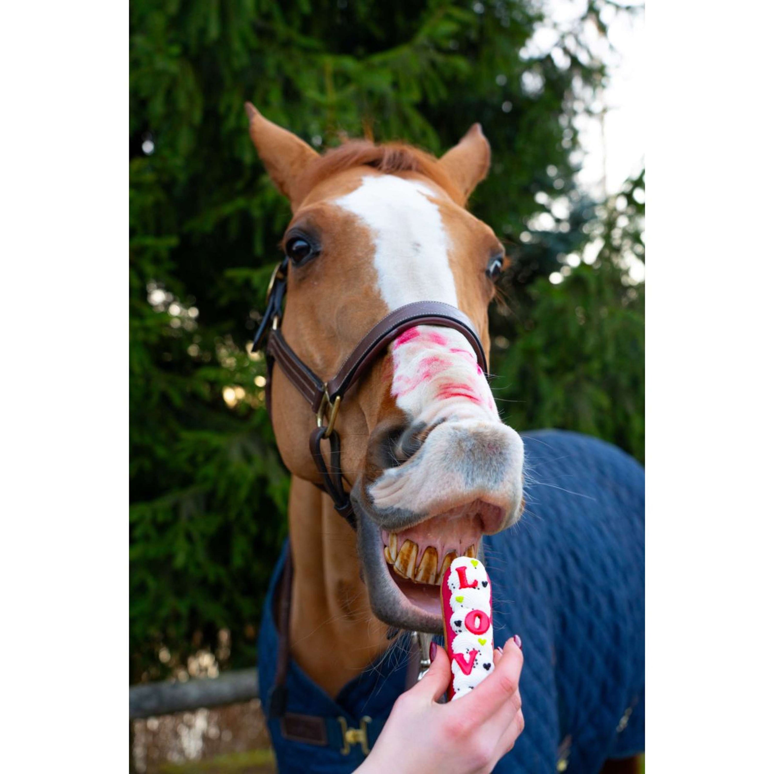 Candy Horse Love Biscotti Eclair Icing