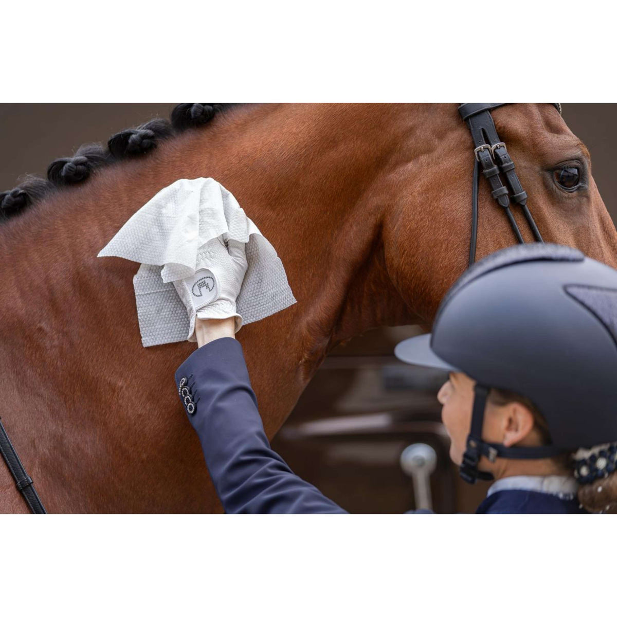HB HorseWipes Natural Clean Bianco