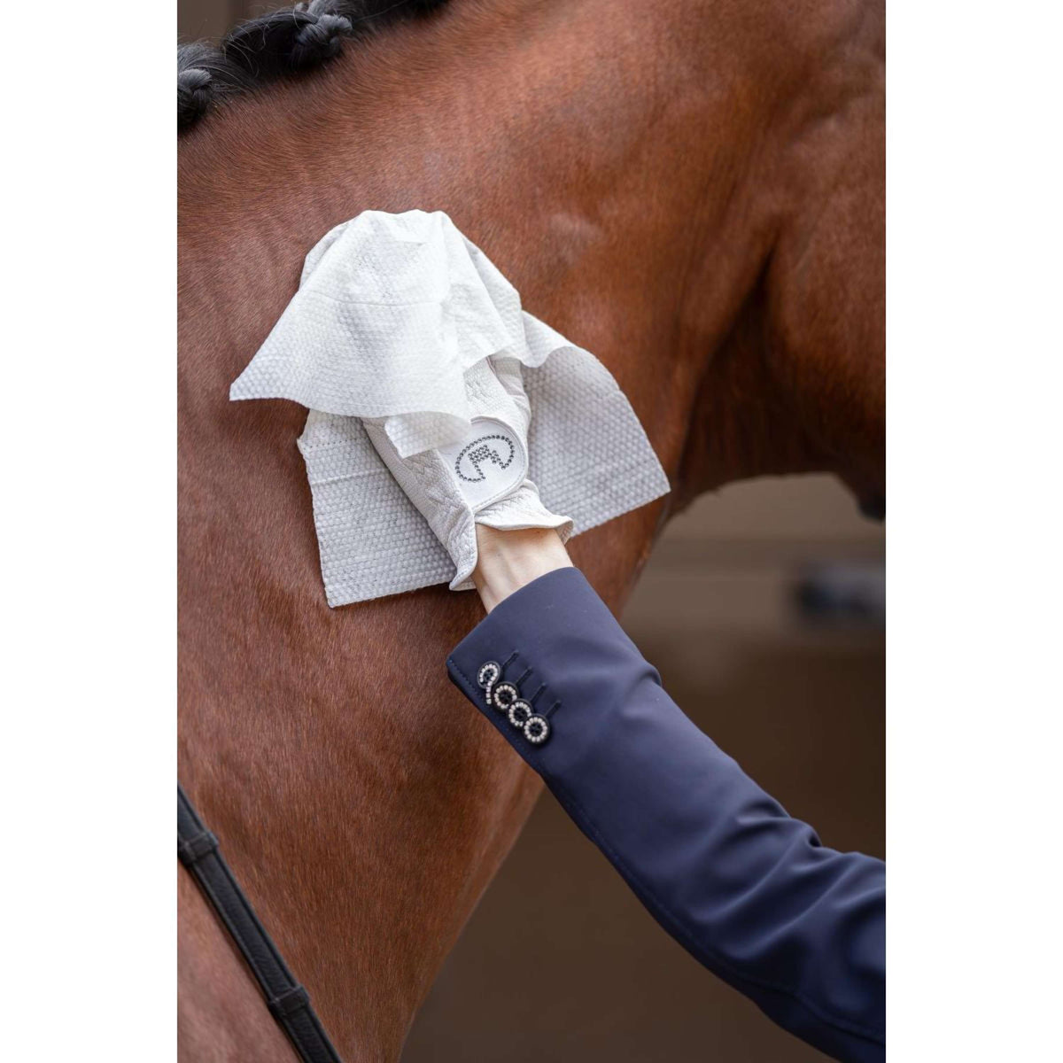 HB HorseWipes Natural Clean Bianco
