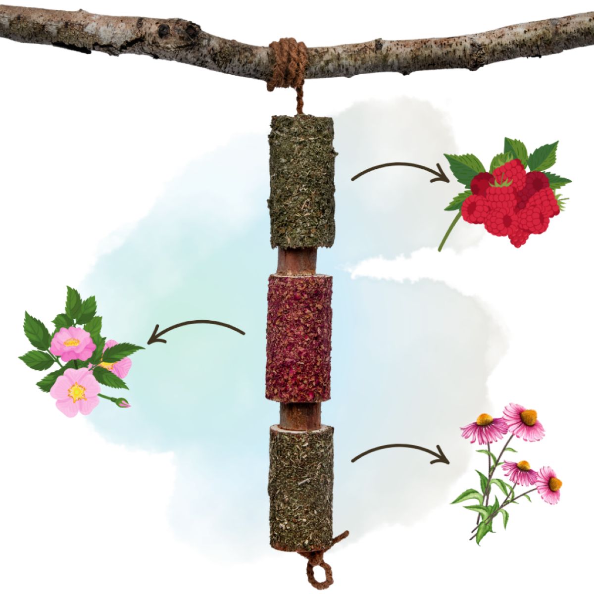 Herbie Giocattolo in legno a base di erbe Immunity