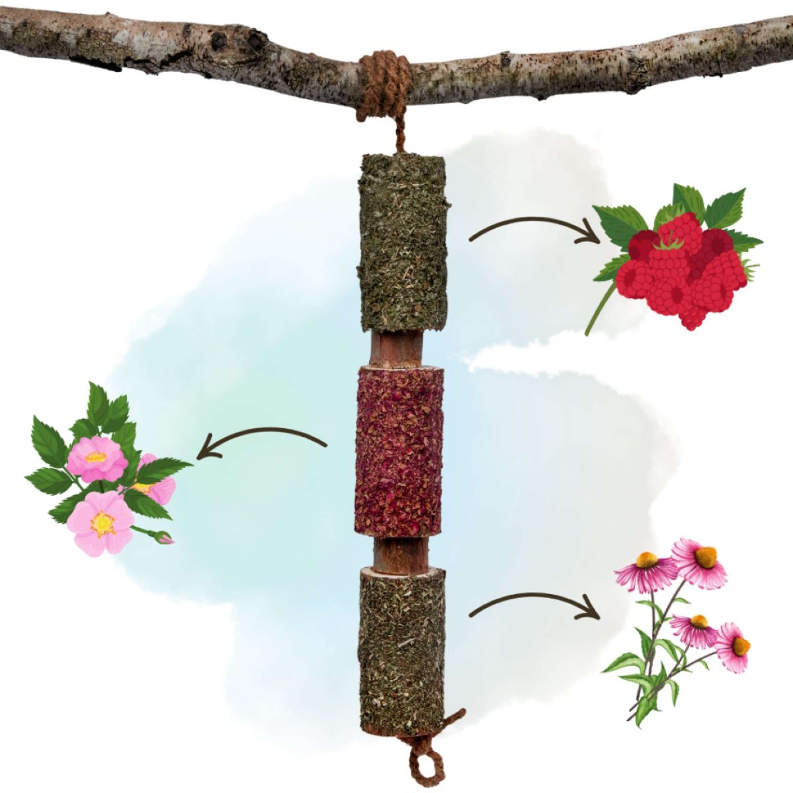 Herbie Giocattolo in legno a base di erbe Immunity