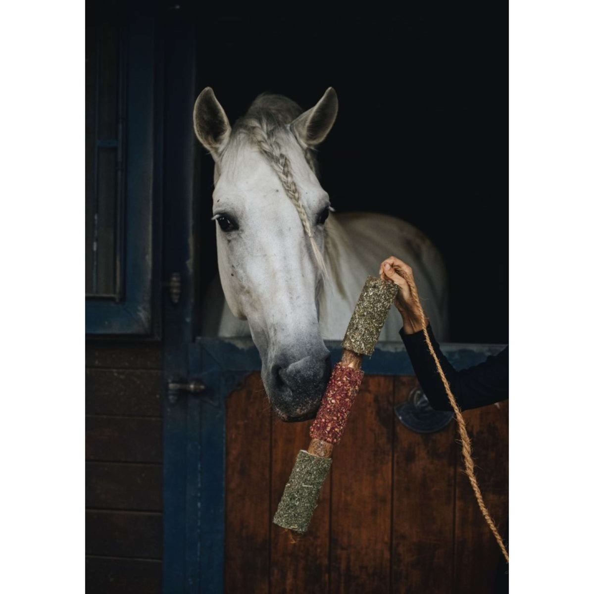 Herbie Giocattolo in legno a base di erbe Immunity