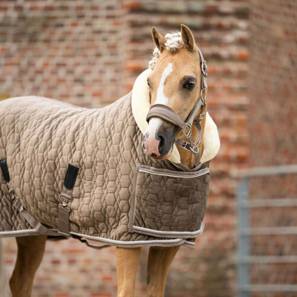 HB Ruitersport Coperta da esposizione Special Peach Taupe