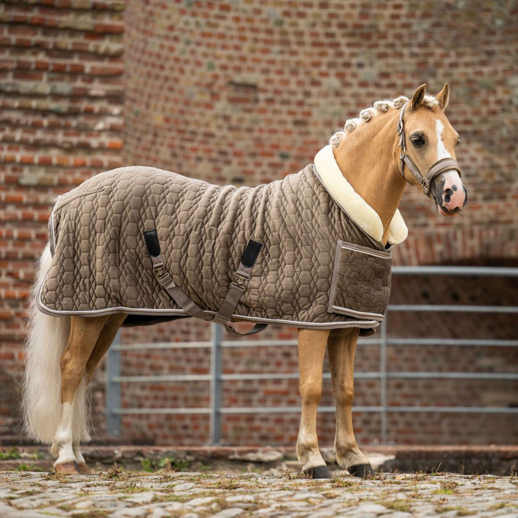 HB Ruitersport Coperta da esposizione Special Peach Taupe