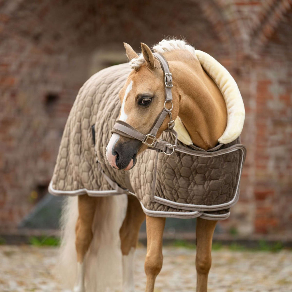 HB Ruitersport Coperta da esposizione Special Peach Taupe
