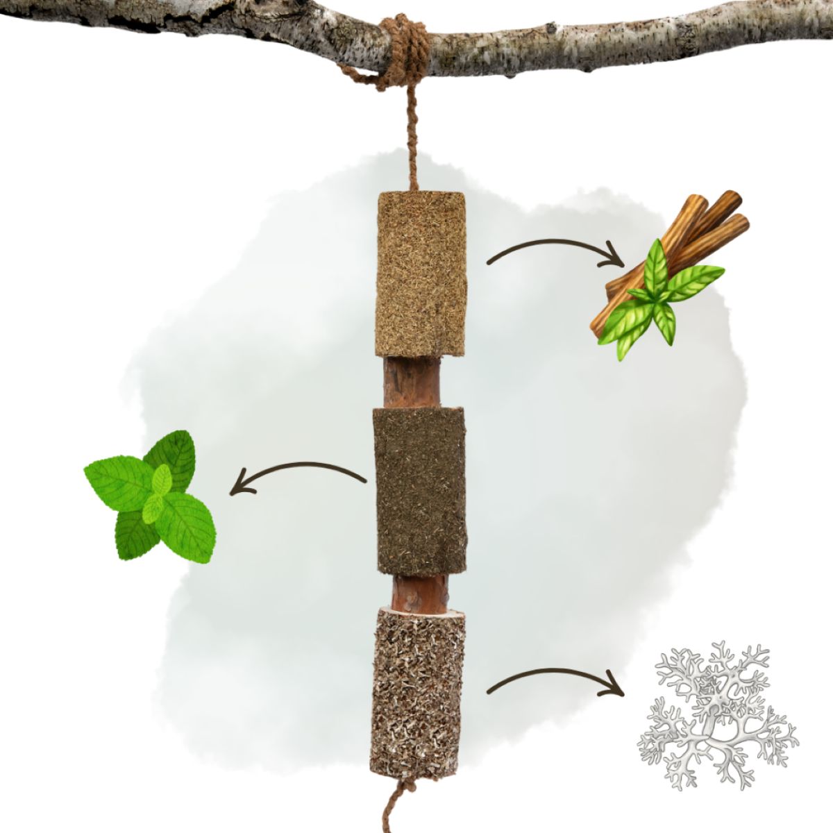 Herbie Giocattolo in legno a base di erbe Regeneration