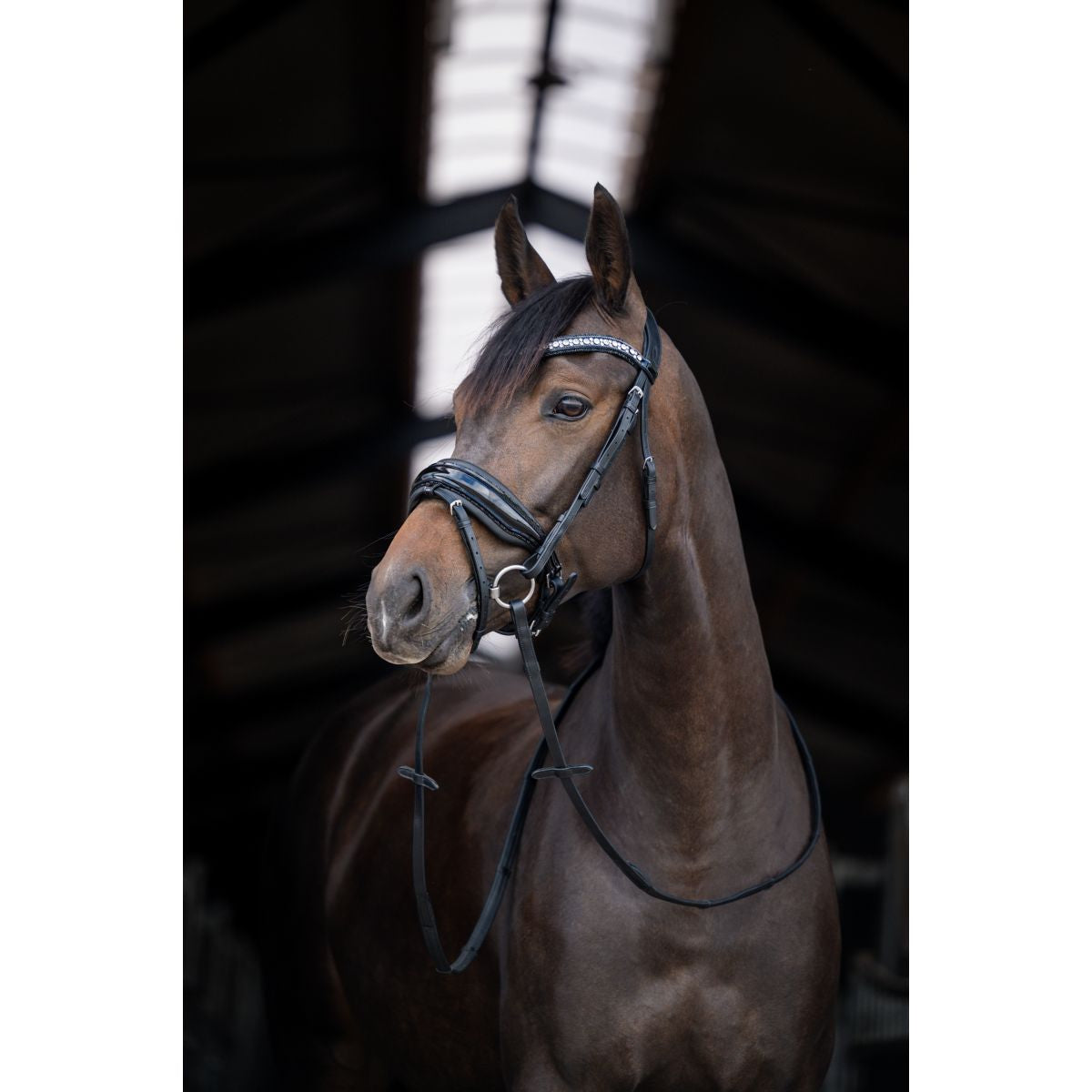 HB Briglia Showtime Stockholm Nero