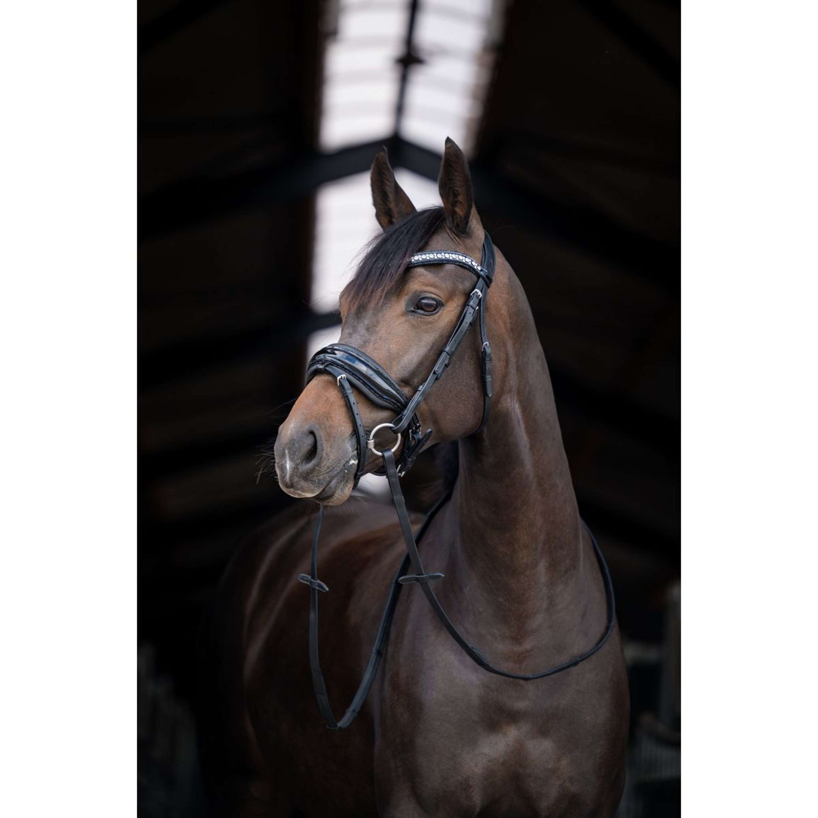 HB Briglia Showtime Stockholm Nero HB Briglia Showtime Stockholm Nero