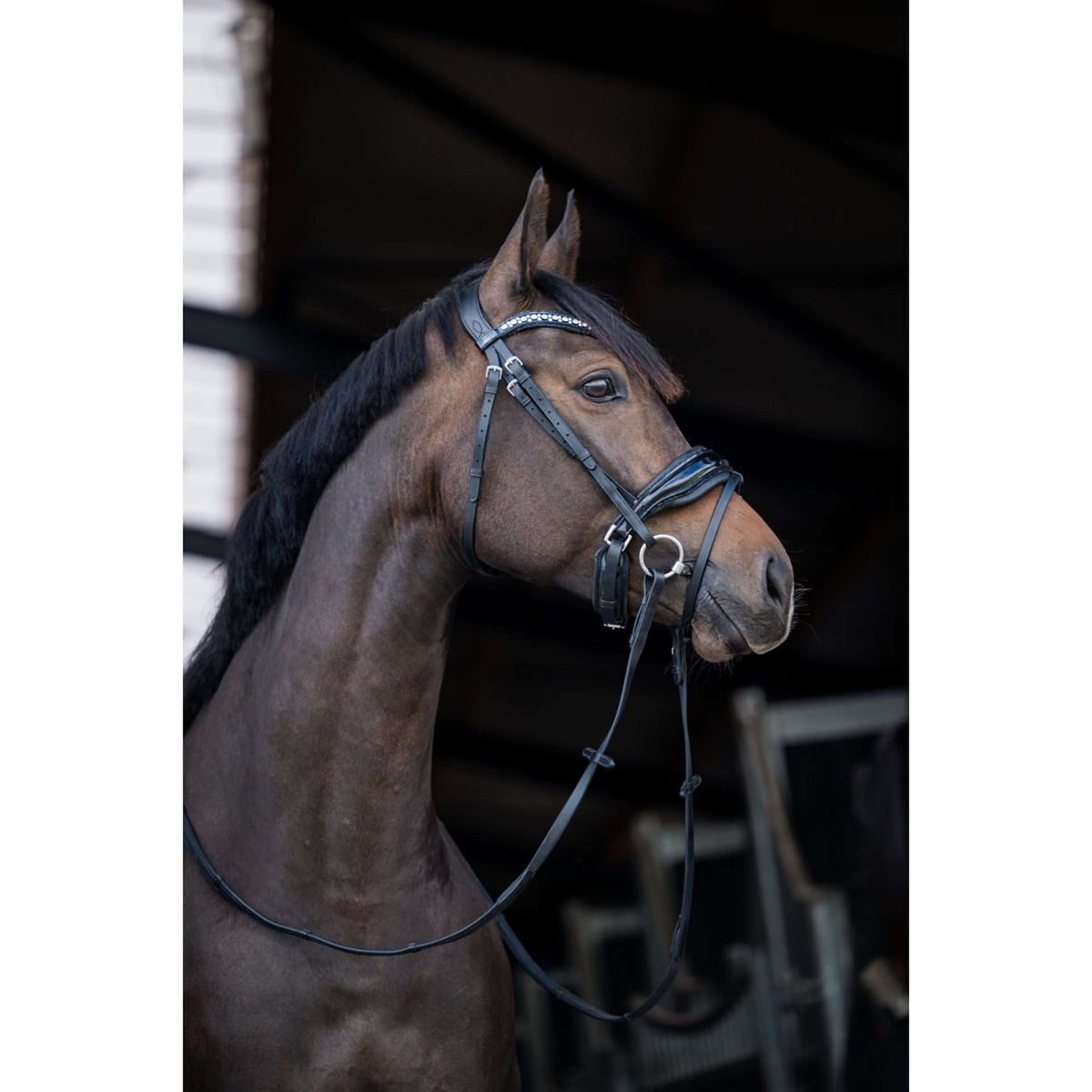 HB Briglia Showtime Stockholm Nero