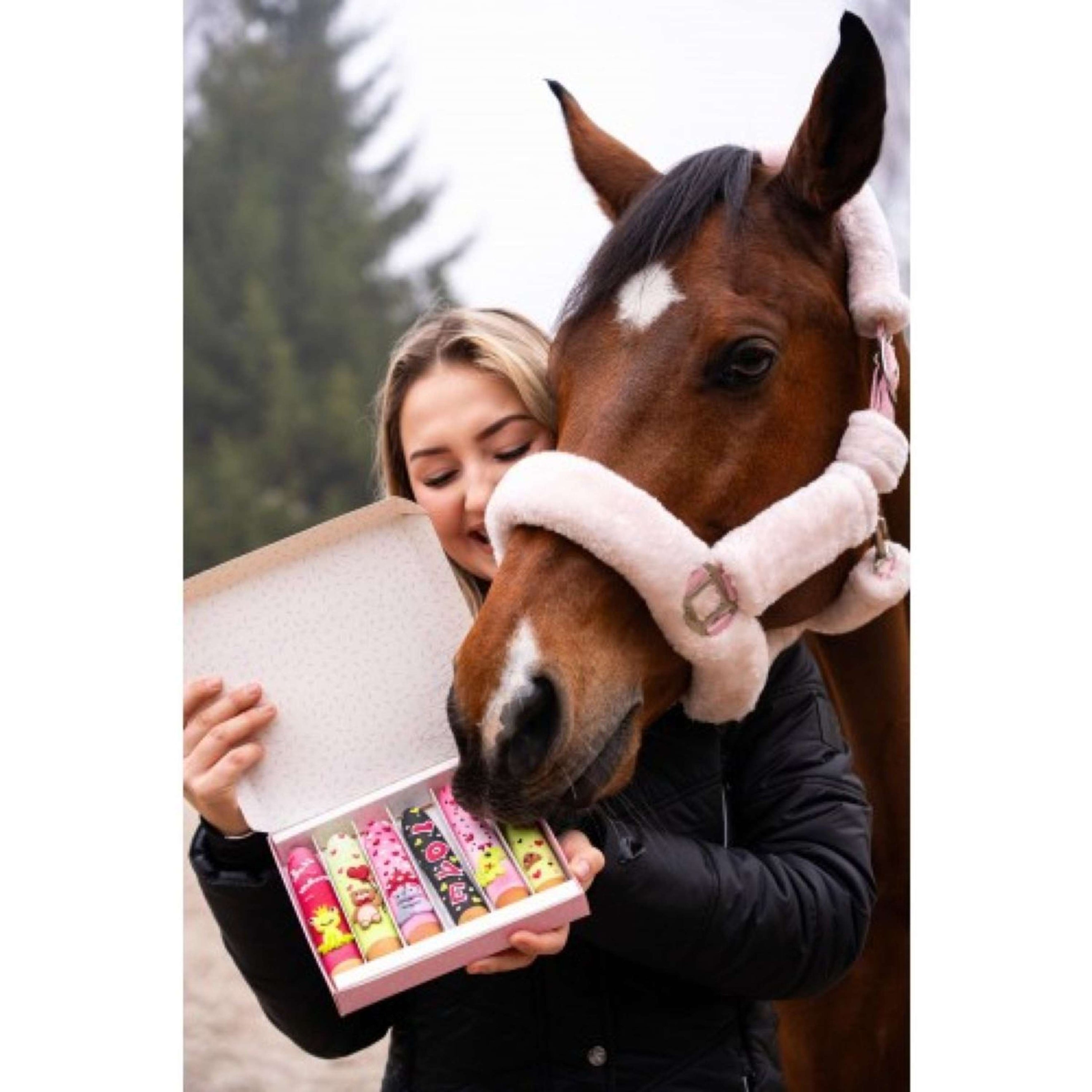 Candy Horse Love Biscotti Icing Sticks