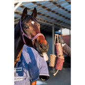 Candy Horse Love Giocattolo da masticare Vol Liefde