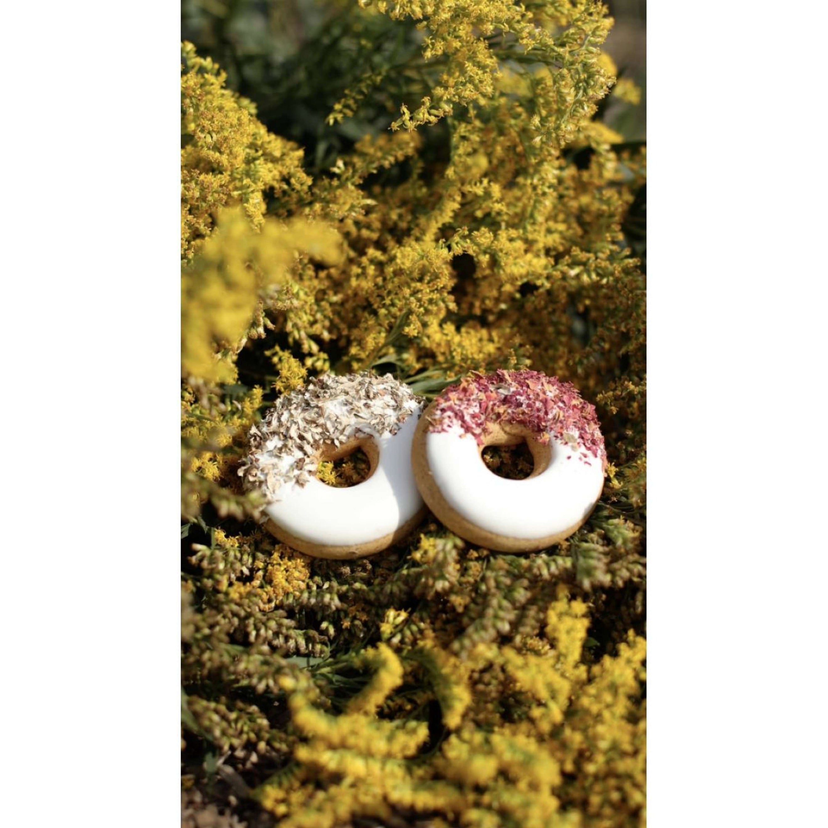 Candy Horse Ciambella Rose petals/Iceland moss Candy Horse Ciambella Rose petals/Iceland moss
