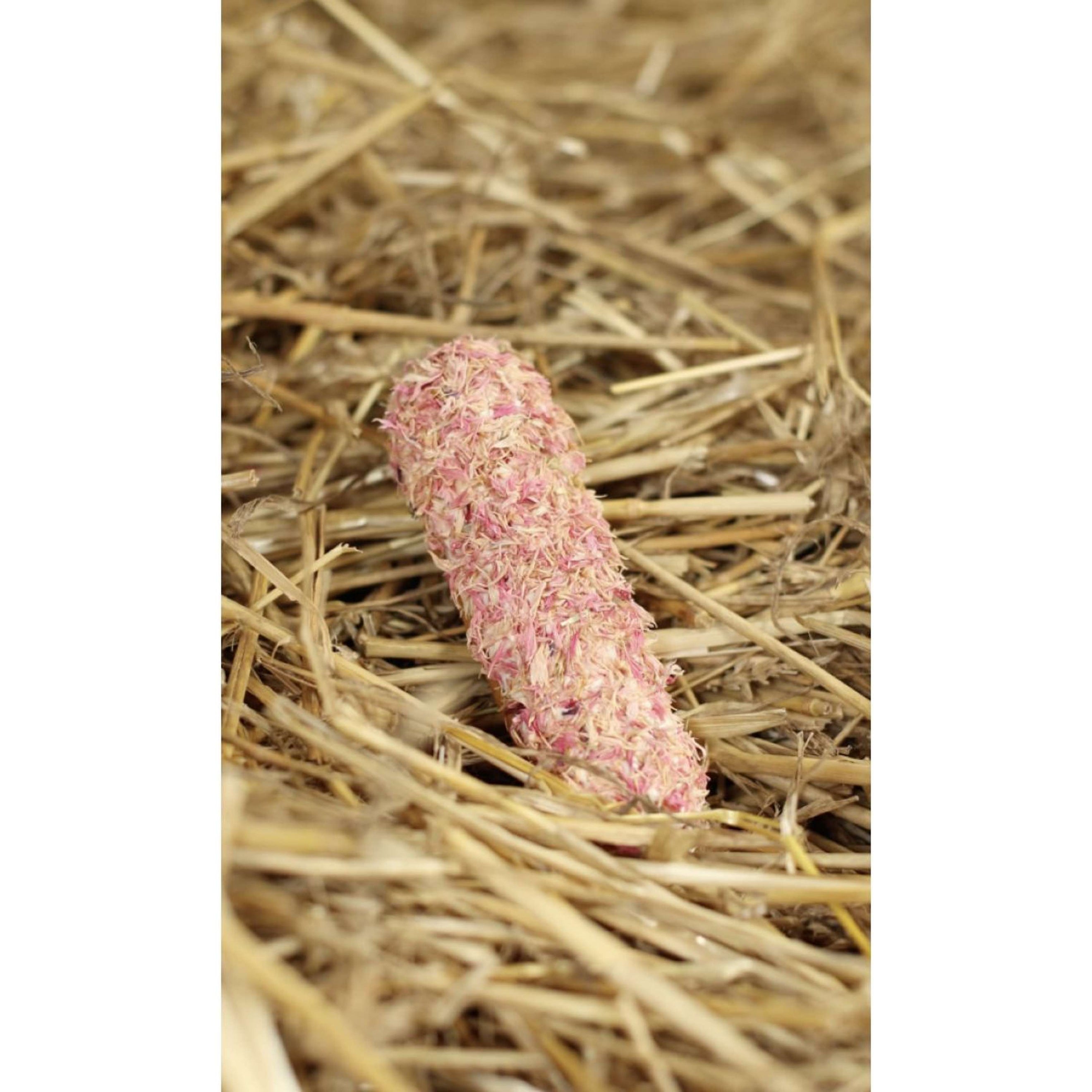 Candy Horse Biscotti Pink Cornflower Èclair Candy Horse Biscotti Pink Cornflower Èclair