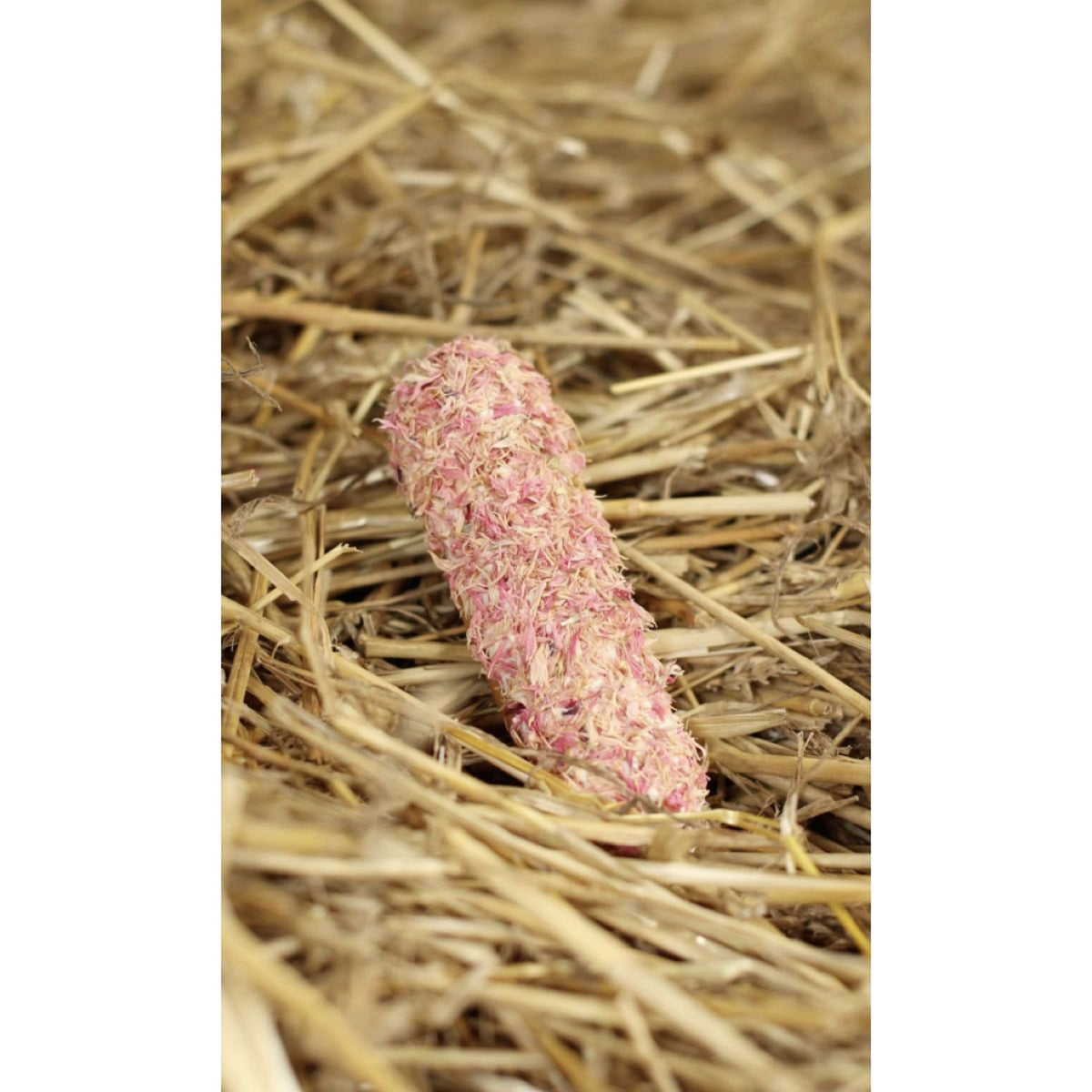 Candy Horse Biscotti Pink Cornflower Èclair