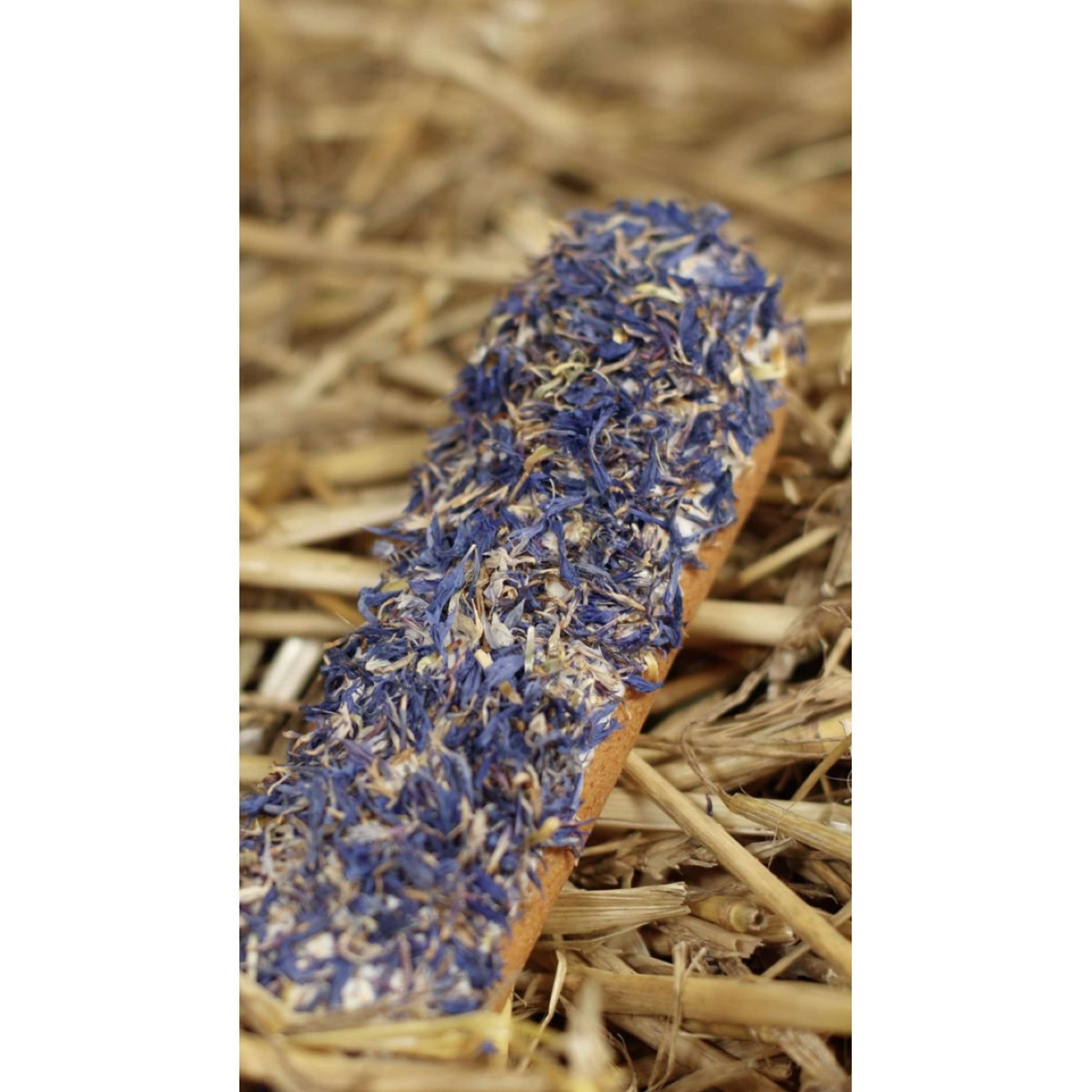 Candy Horse Biscotti Cornflower Eclair Candy Horse Biscotti Cornflower Eclair